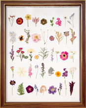 Load image into Gallery viewer, The Sampler