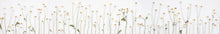 Load image into Gallery viewer, Dancing Daisies