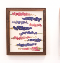 Load image into Gallery viewer, The Laying Larkspur