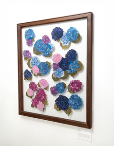 Nantucket Hydrangeas