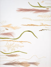 Load image into Gallery viewer, Desert Pampas (Print)

